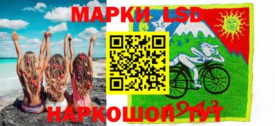 a pvp Новодвинск