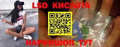 a pvp Новодвинск