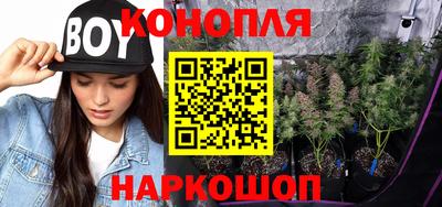a pvp Новодвинск