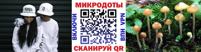 shop как зайти  купить наркотики сайты  Электрогорск  Галлюциногенные грибы Psilocybine cubensis 