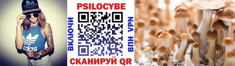Псилоцибиновые грибы Cubensis Электрогорск
