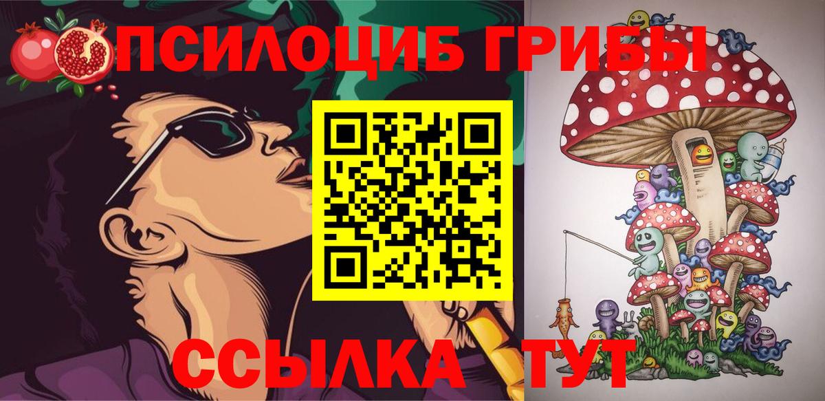 Электрогорск  Галлюциногенные грибы Psilocybe  где можно купить наркотик  Вход с VPN 